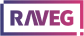 imgi 1 RAVEG Logo Kleur 03 46006be2 9617 41d0 b54e bddd8aa7de98 1